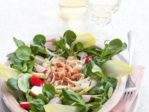 Witloofsalade met appeltjes