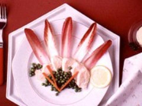 Rood witloof met kip