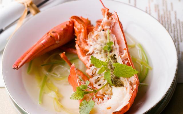 Kreeft à la nage