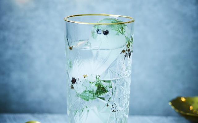 Gin-tonic met botanical-ijsblokjes