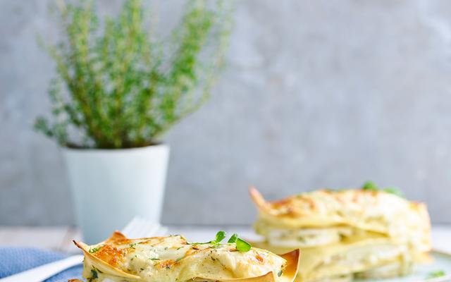 Lasagne met rapen, aardpeer, witte vis, bloemkoolbechamel en mozzarella