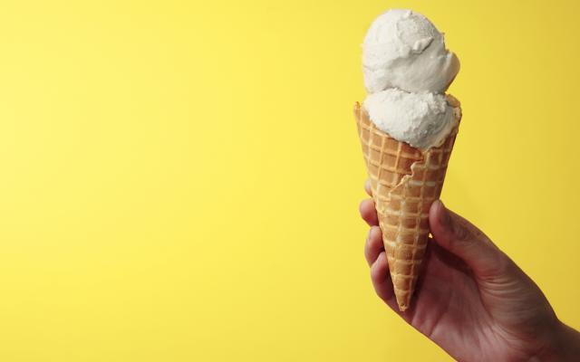 Leger kapitalisme Afleiden Homemade vanille-ijs - Libelle Lekker