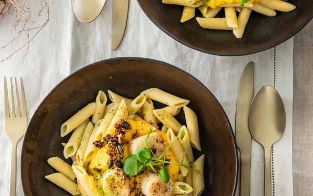 Penne met pompoencrème, sint-jakobsvruchten en waterkersolie