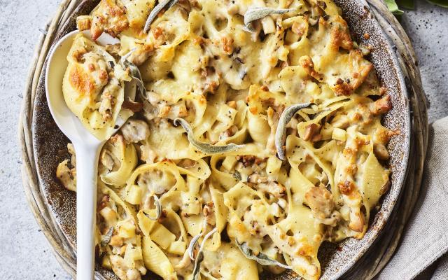 Conchiglie met kip, boschampignons en truffelsaus