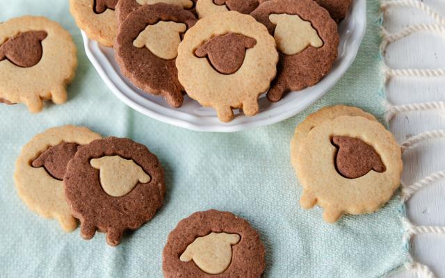Schattige schapenkoekjes