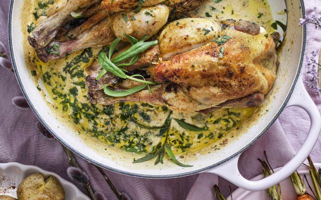 Piepkuiken in dragonroomsaus