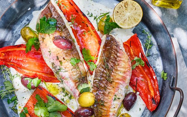 Rode poon met snelle labneh en geroosterde puntpaprika