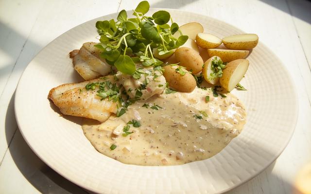 Grietfilet met mosterdsausje en krieltjes