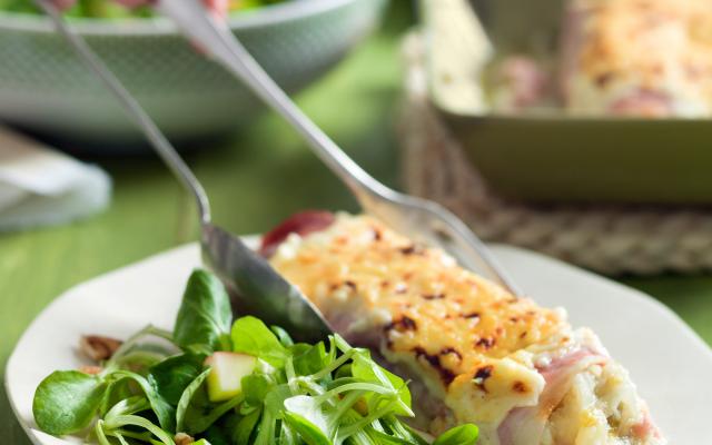 Stoemp Aux Chicons Gratine Salade Fraicheur Cuisine Et Recettes