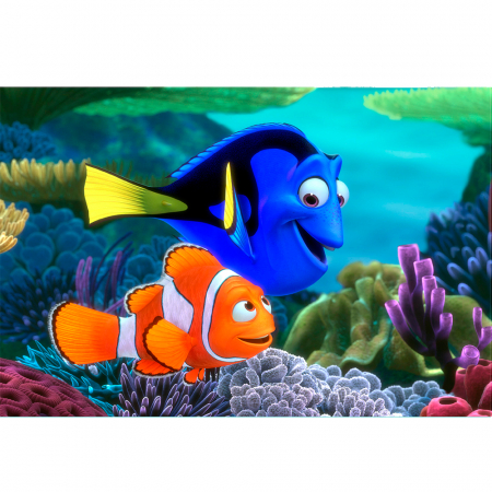 Le monde de Nemo