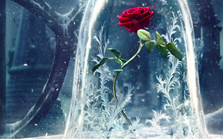Beauty and the Beast