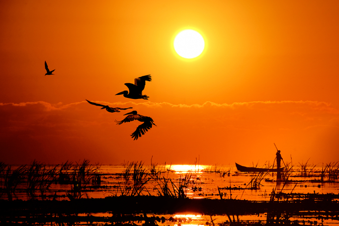 14. Le Delta du Danube, en Roumanie
