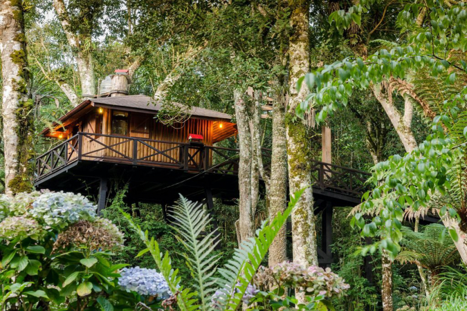 Casa Na Árvore, Monte Verde, Brazilië