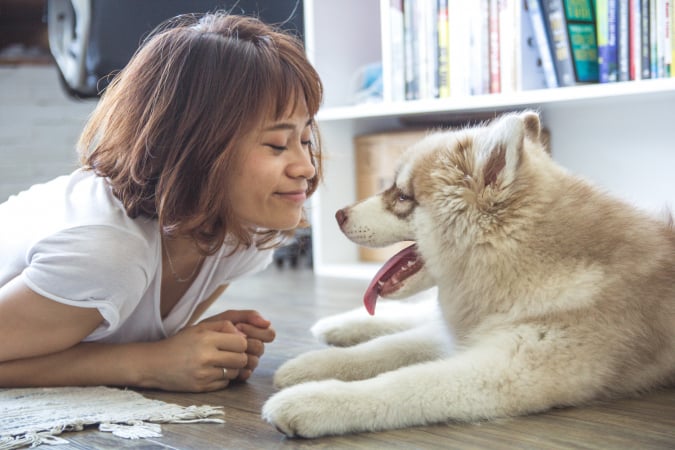 7 Metiers Originaux Pour Celles Qui Adorent Les Animaux