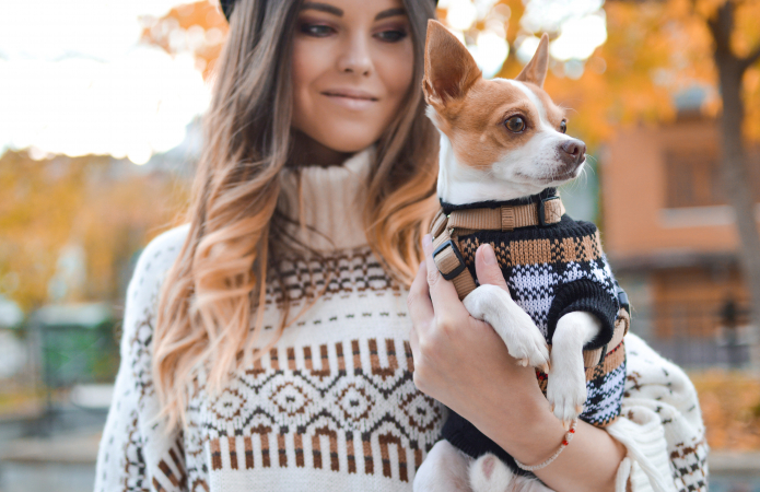 Vissen (20 februari – 20 maart): chihuahua