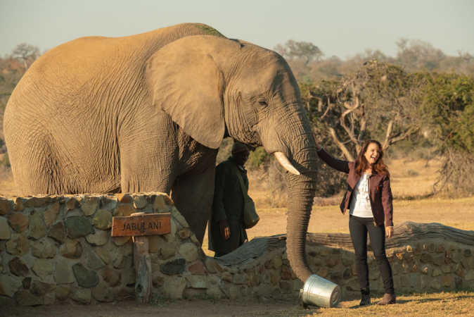 6. Holiday in the Wild