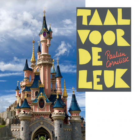 Boek over taal en merchandise van Disney