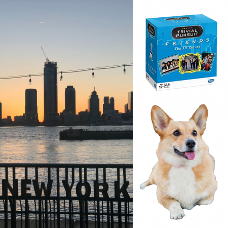 ‘Friends’-Trivial Pursuit, puppy en reis naar New York