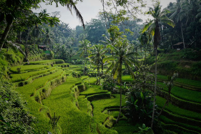 Bali, Indonesië