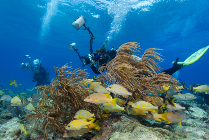 Florida Keys National Marine Sanctuary, Verenigde Staten