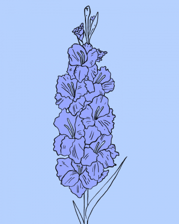 Maagd (22 augustus – 21 september)
