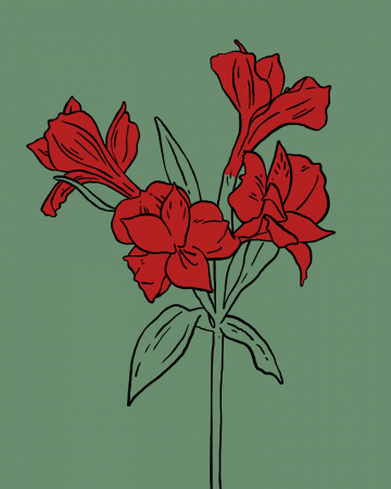 Steenbok (21 december – 19 januari)