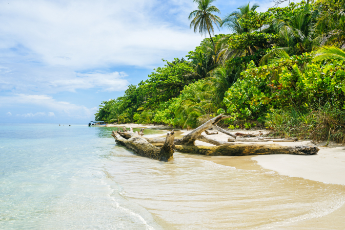 Isla Zapatilla, Panama
