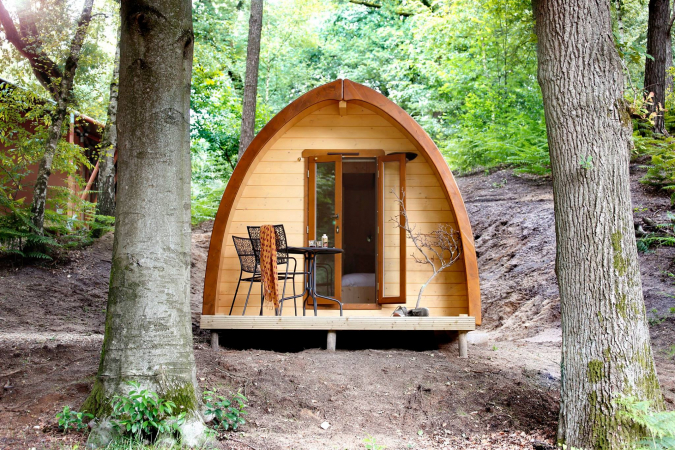 Dans le parc Veluwezoom aux Pays-Bas