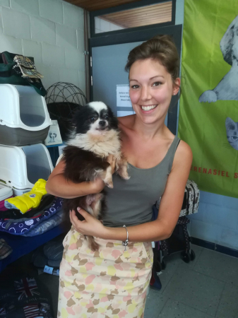 Elien adopteerde twee jaar geleden haar chihuahua Joske