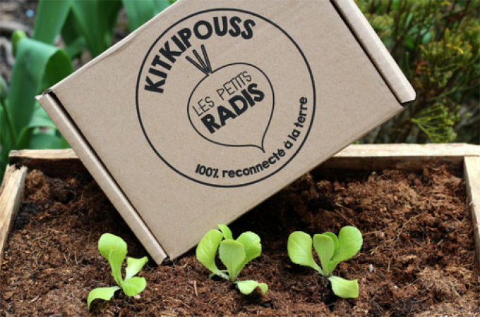 Pour les jardiniers en herbe – Les Petits Radis