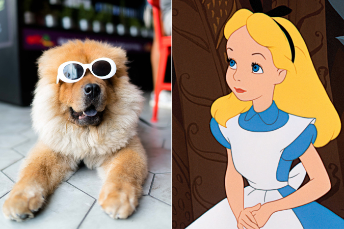 19 noms pour chien inspirés des personnages de Disney
