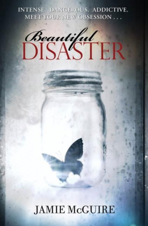 ‘Beautiful disaster’ van Jamie McGuire