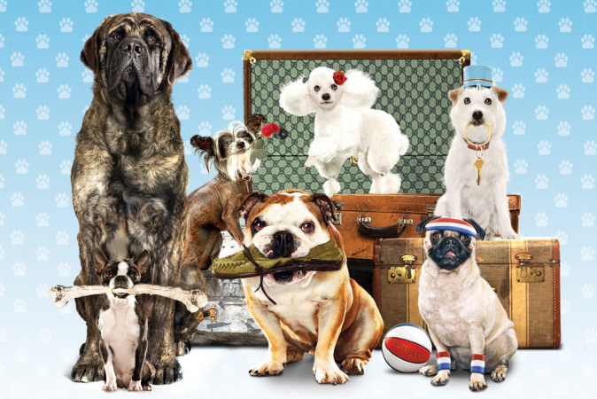 Hotel For Dogs