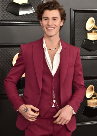 Shawn Mendes – angststoornis
