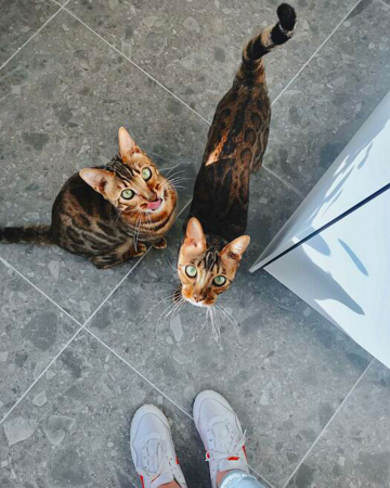 Raja en Nacho (5)