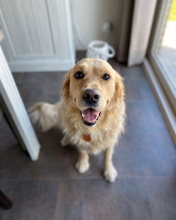 Marley (4)
