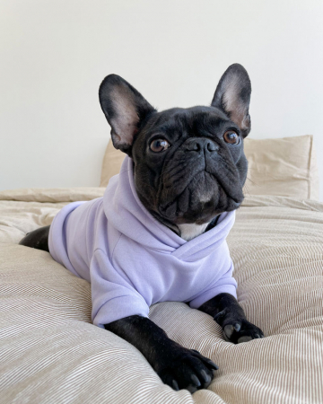 Lou (2,5)