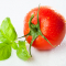 Tomaten