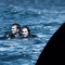 Open Water: En Eaux Profondes