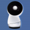 Jibo
