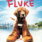 Fluke