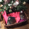Samengesteld cadeaumandje