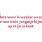 Goedele (31)