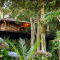 Casa Na Árvore, Monte Verde, Brazilië