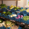 Magasin Paysans-Artisans Namur ou Jambes