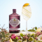 Hendrick’s Midsummer Solstice