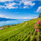 9. Vevey, Zwitserland