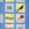 All the Bright Places