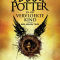 Harry Potter en het Vervloekte Kind