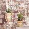 Hanging gardens